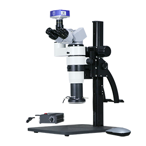 Stereo Microscope